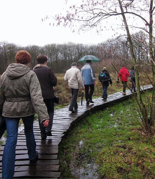 Winterwandeling-Kiewit (6).jpg